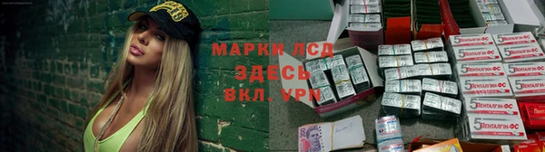 дурь Алзамай