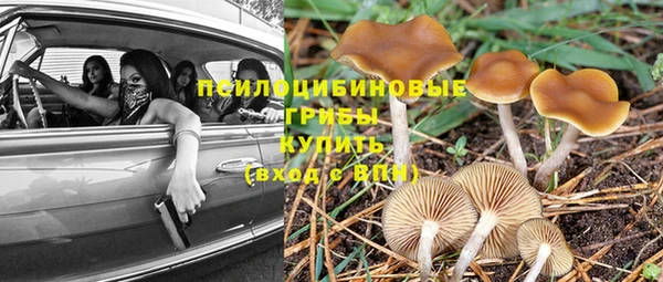 молекула духа Алексеевка
