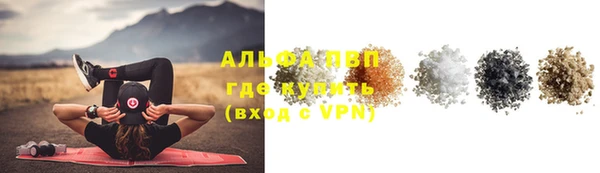 молекула духа Алексеевка