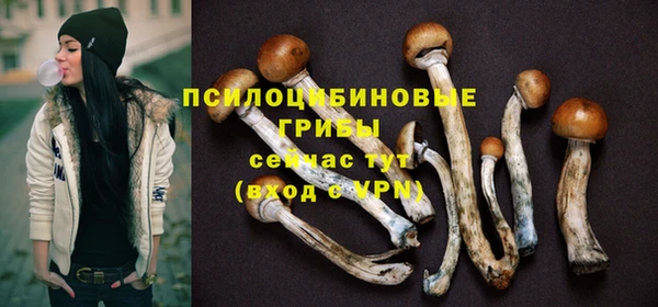 дурь Алзамай
