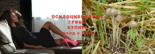 дурь Алзамай