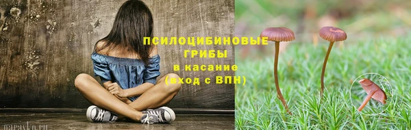 герыч Алексин